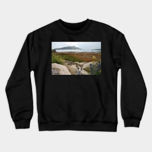 Busy bay Crewneck Sweatshirt